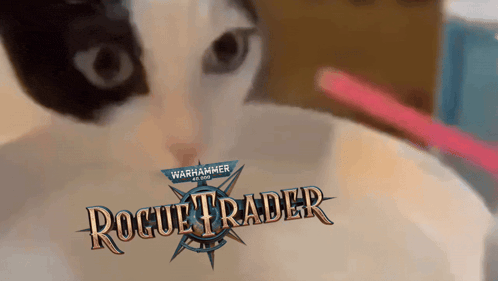 a black and white cat is looking at a warhammer rogue trader logo