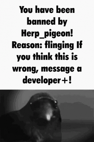 Herp_pigeon Innovation GIF - Herp_pigeon Innovation Inc GIFs