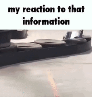 My Reaction To That Information My Reaction To That Information Meme GIF - My Reaction To That Information My Reaction To That Information Meme GIFs