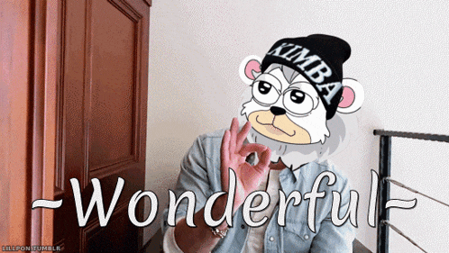a cartoon of a bear wearing a kimba hat says wonderful