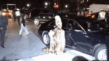 a woman in a tiger print dress is standing next to a black car