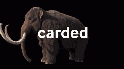 a picture of a mammoth with the word carded behind it