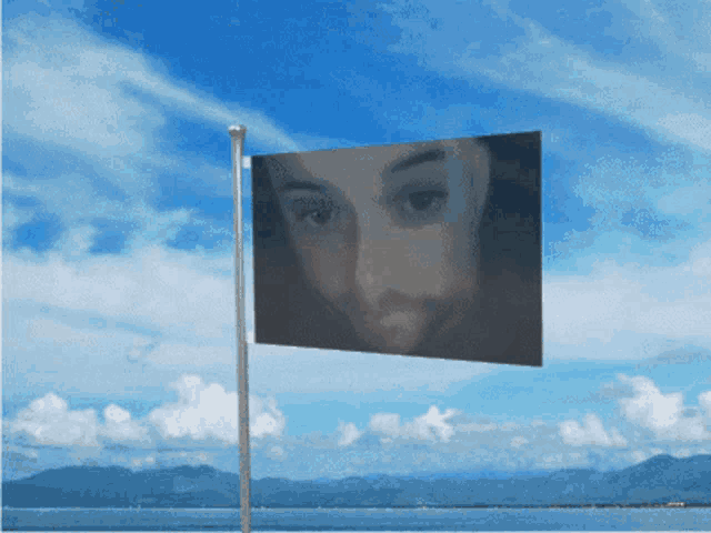 a flag with a woman 's face on it is flying in the wind