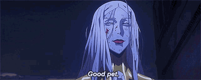 a cartoon of a woman with long white hair says good pet