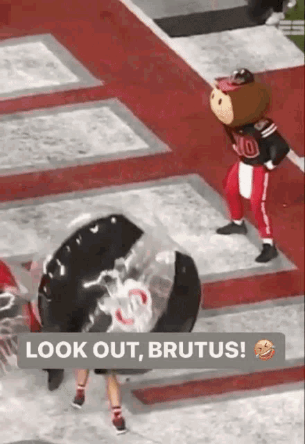 Brutus Buckeyes GIF - Brutus Buckeyes Michigan Football GIFs
