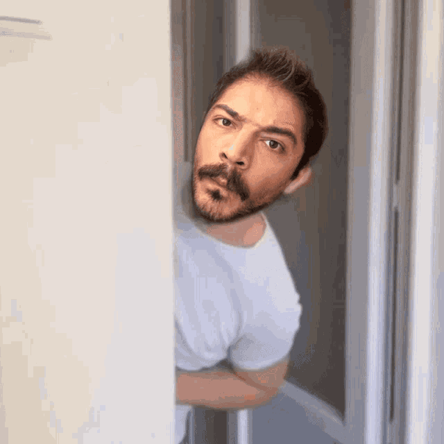 a man with a beard and mustache is peeking out from behind a door