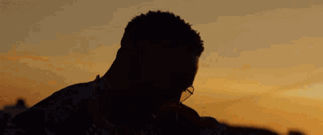 a silhouette of a man wearing glasses and a hat standing in front of a sunset .