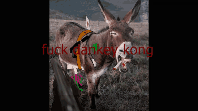 a donkey is standing in a field with the words fuck donkey kong written on the bottom