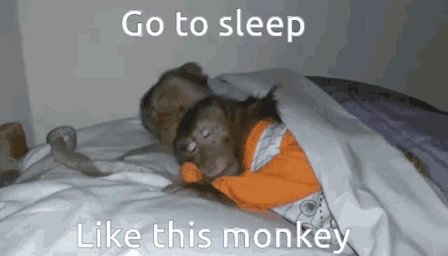 Go To Sleep Sleepy Monkey GIF