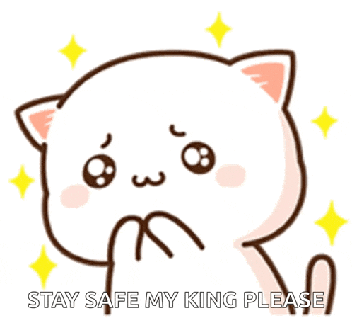 a cartoon cat with the words stay safe my king please written on it