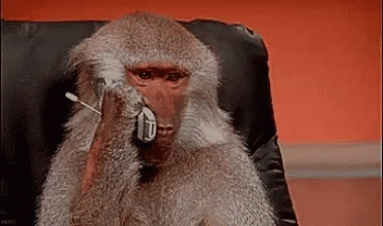 Monkey On The Phone GIF - Monkey On The Phone Telo Bosok GIFs