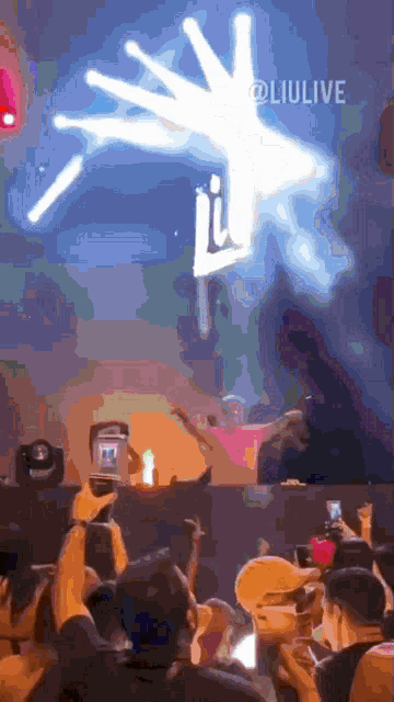 a crowd of people at a concert with the word liulive on the bottom right