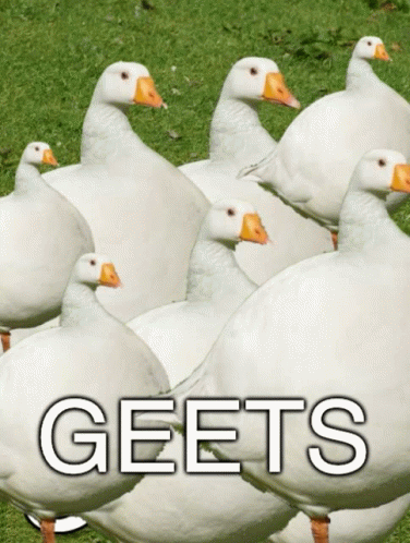 Geets GIF - Geets GIFs
