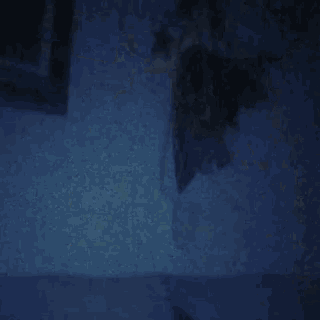 a dark room with a picture on the wall and a shadow on the wall