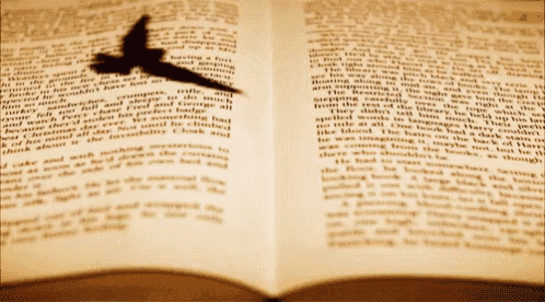 a book is open to a page with a bird shadow on it