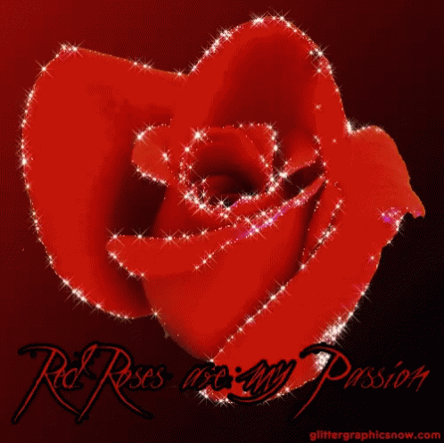 Red Roses Shiny GIF - Red Roses Roses Shiny GIFs