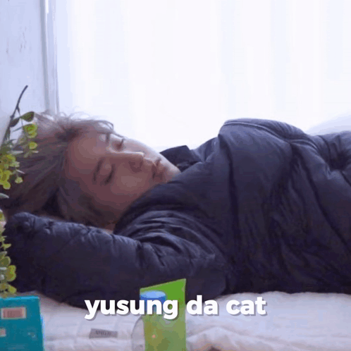 Yusung Byshinyuna GIF - Yusung Byshinyuna Cat Byshinyuna GIFs