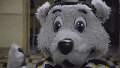 a stuffed animal wearing a hockey helmet and a blue and yellow shirt