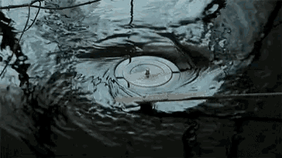 a cd is floating in a body of water with a wooden stick sticking out of it