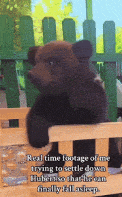 a bear is sitting in a wooden bed with the caption real time footage of me trying to settle down hubert