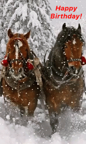 two horses pulling a sleigh in the snow with a happy birthday message