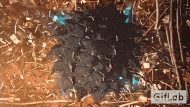a giflab logo is displayed in the corner of an image