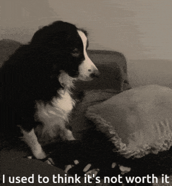 a black and white dog sitting on a couch with the words i used to think it 's not worth it below it