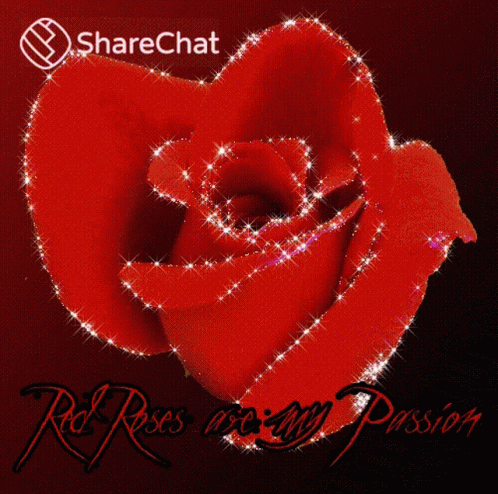 Red Roses Are My Passion लालगुलाबमेराजुनूनहै GIF - Red Roses Are My Passion लालगुलाबमेराजुनूनहै चमचमाना GIFs