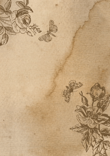 an envelope with flowers and butterflies has a message from anna kheads