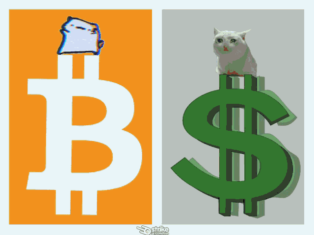 Pay Me In Bitcoin Ic Offender GIF - Pay Me In Bitcoin Ic Offender GIFs
