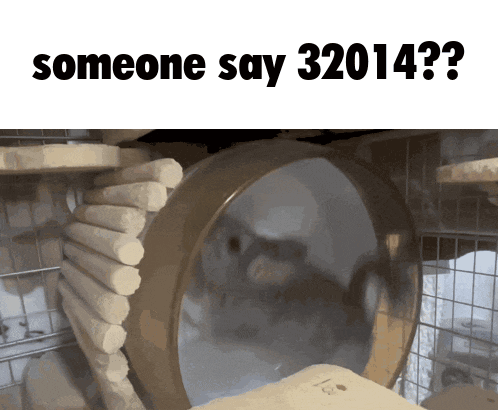 a picture of a hamster with the words someone say 32014 below it