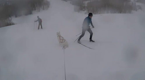 Backup Skiing GIF - Backup Skiing Nevermind GIFs