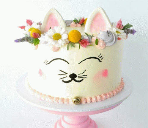 Cat Cake GIF - Cat Cake GIFs