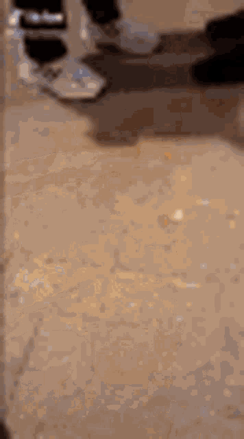 a person is walking on a carpeted floor .