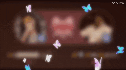a blurred image with butterflies and the word vita in the corner