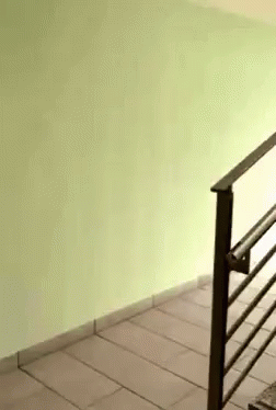 Reverse Stairs GIF - Reverse Stairs Funny GIFs