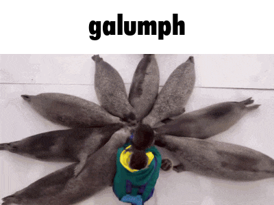 a person is surrounded by seals and the word galumph is on the bottom