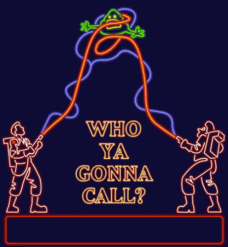 Ghostbusters Who You Gonna Call GIF - Ghostbusters Who You Gonna Call GIFs