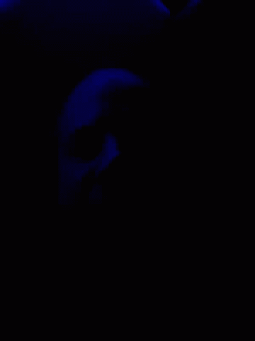 Selfie Blue Light GIF - Selfie Blue Light GIFs