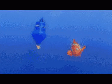 dory and clown fish from the movie finding dory