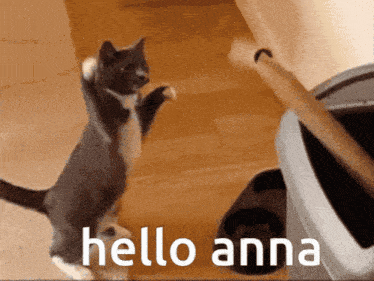 Anna Hallo GIF - Anna Hallo Hello GIFs