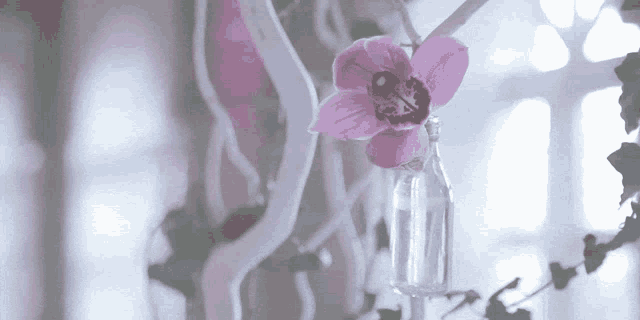 a pink flower is hanging from a bottle