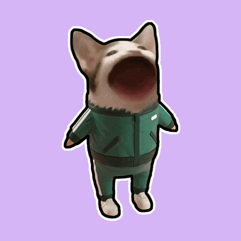 a picture of a dog wearing a green tracksuit with its mouth open
