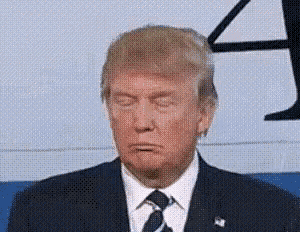 Donald Trump GIF - Donald Trump Charles GIFs