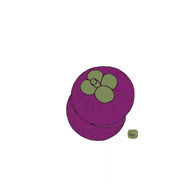 a cartoon drawing of a mangosteen cut in half with a digi logo in the corner
