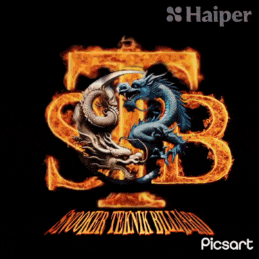 a logo for snooker teknik billiards shows two dragons in flames