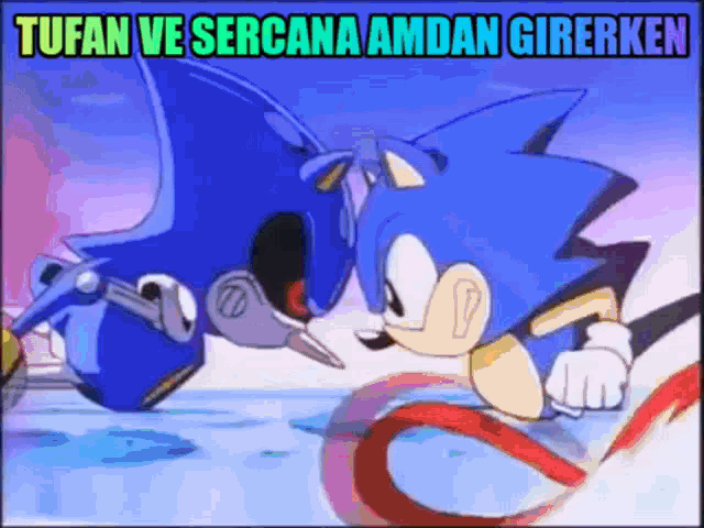 Sonic Tufan Ve Sercan GIF - Sonic Tufan Ve Sercan Tufan Ve Sercana Girerken GIFs