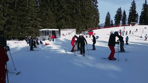 a group of people are skiing down a snowy slope