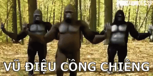đườiươi, Nhảy, Vượn, Khỉ GIF - Gorilla Dance Humor GIFs