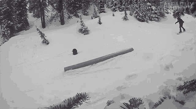 Tripping Snowboarding GIF - Tripping Snowboarding Tripping Over GIFs